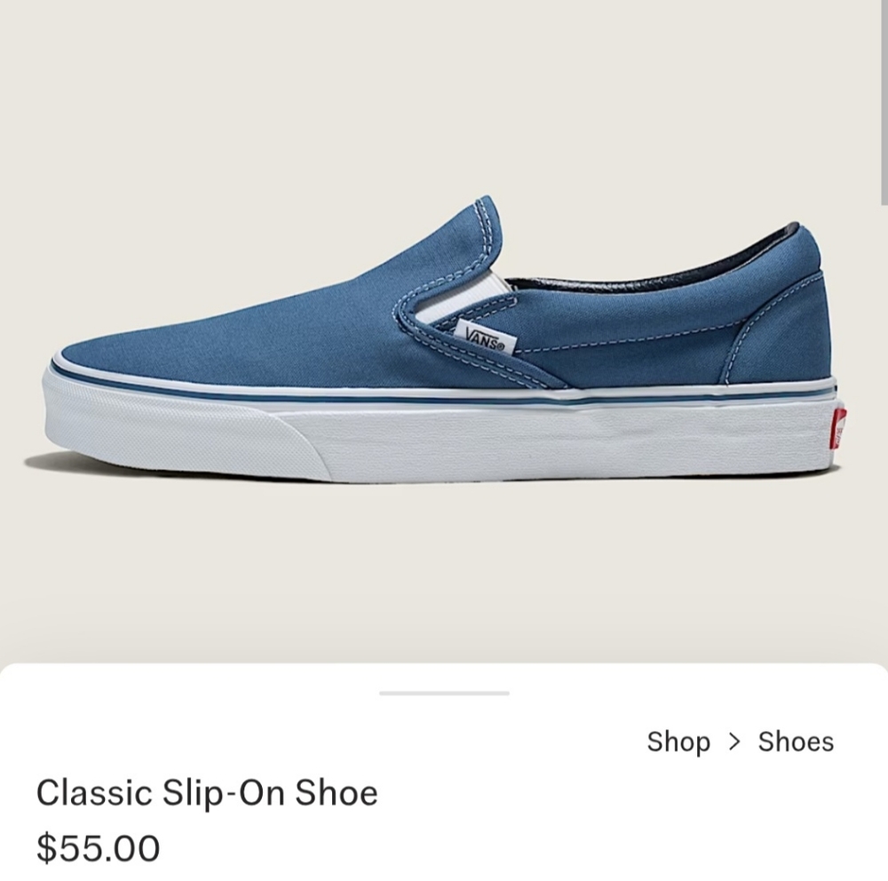 Vans Men's Blue Slip-On Shoes
